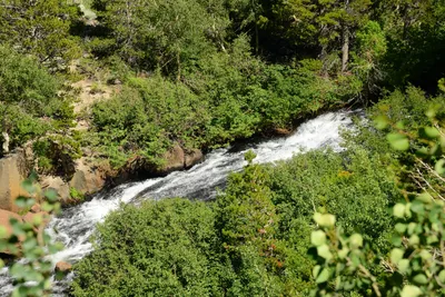 DSC_0070 (Large).JPG